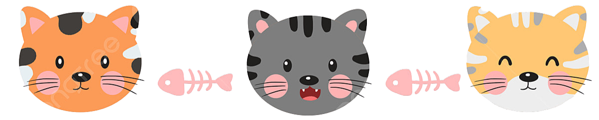 分隔線07.png