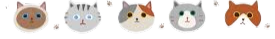 分隔線06.png