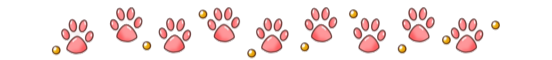 分隔線05 (1).png